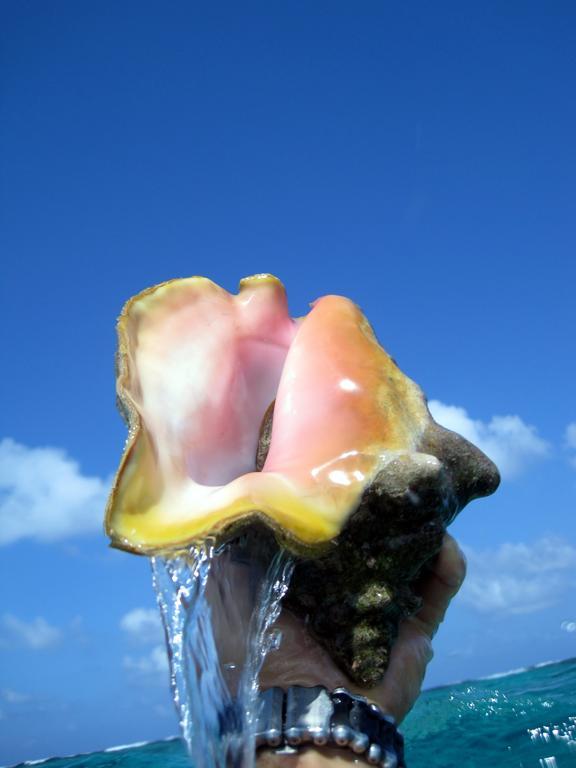 Caye Reef Condos Caye Caulker Zewnętrze zdjęcie